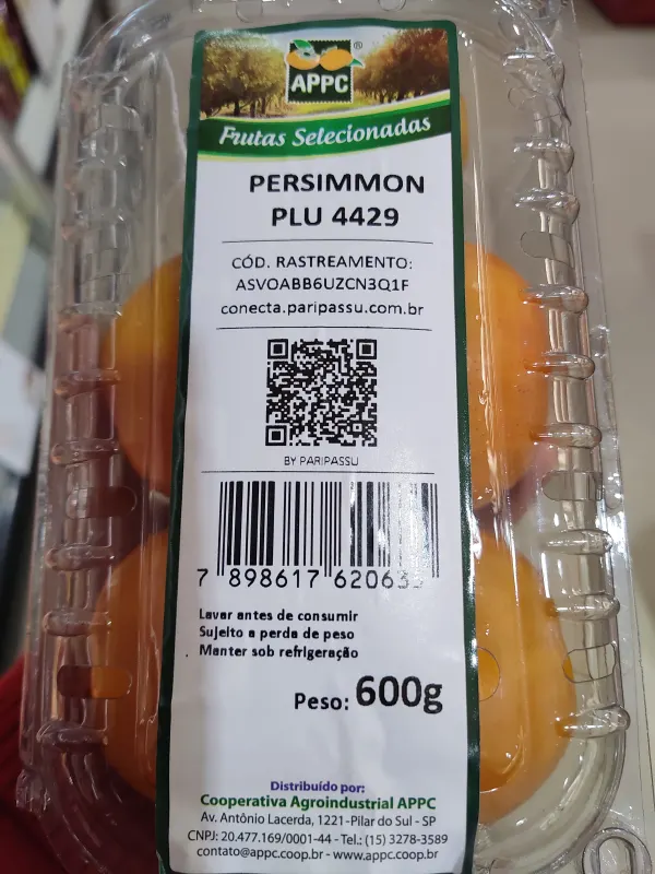 appc-persimmon