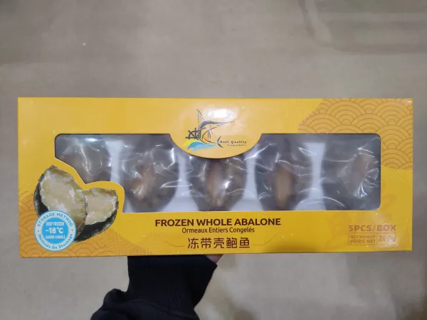 frozen-whole-abalone