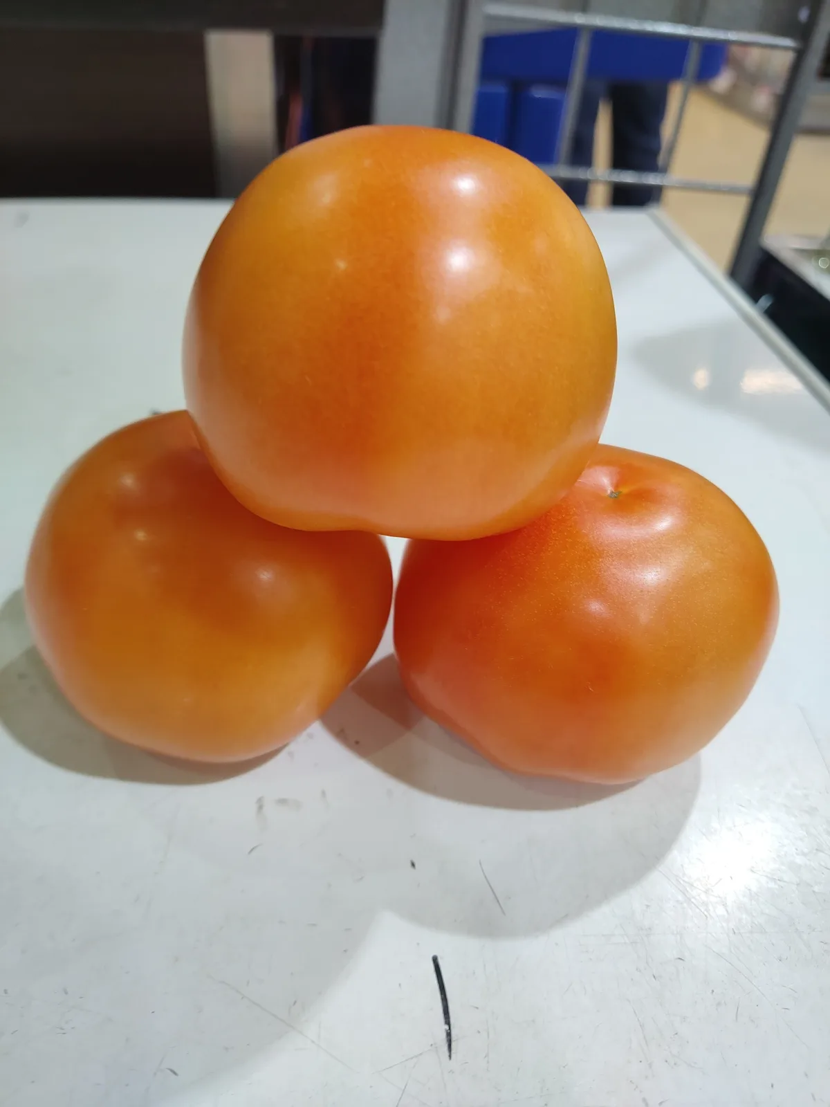 fresh-salad-tomato