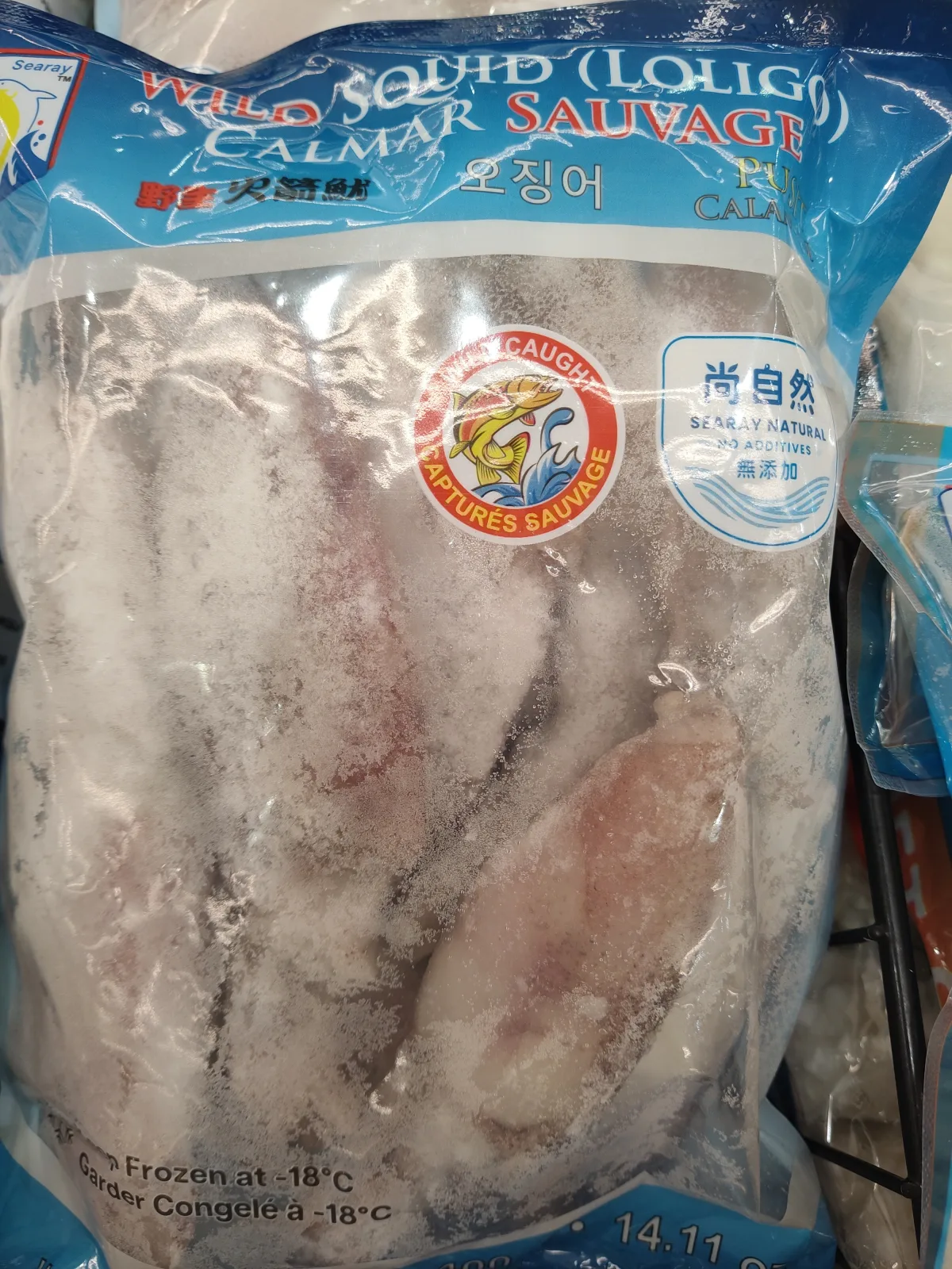 searay-loligo-squid-calamari