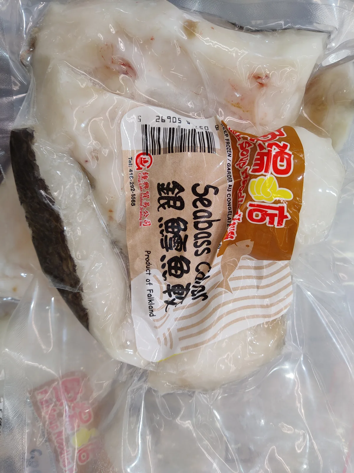 frozen-seabass-collar