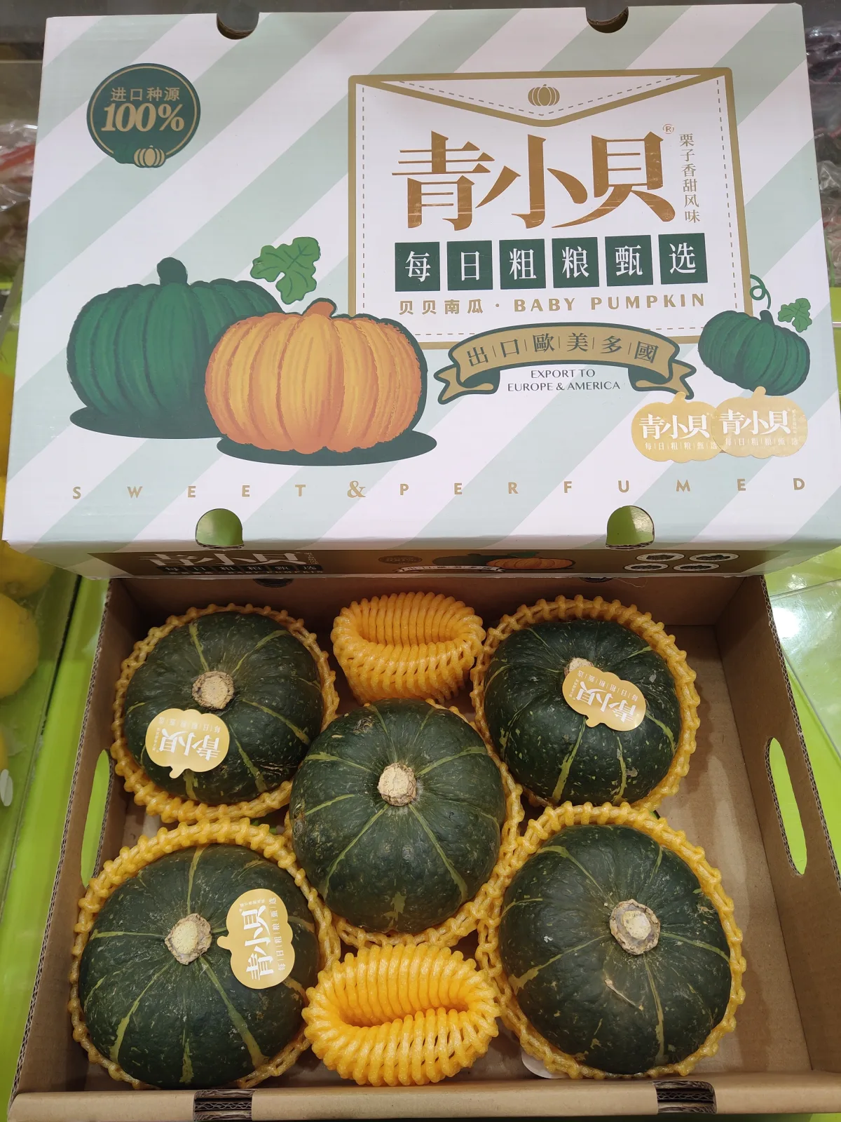 bei-bei-pumpkin