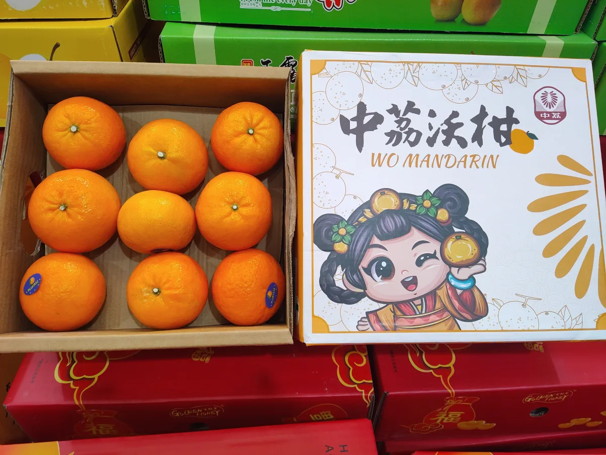 wo-mandarincase25kg