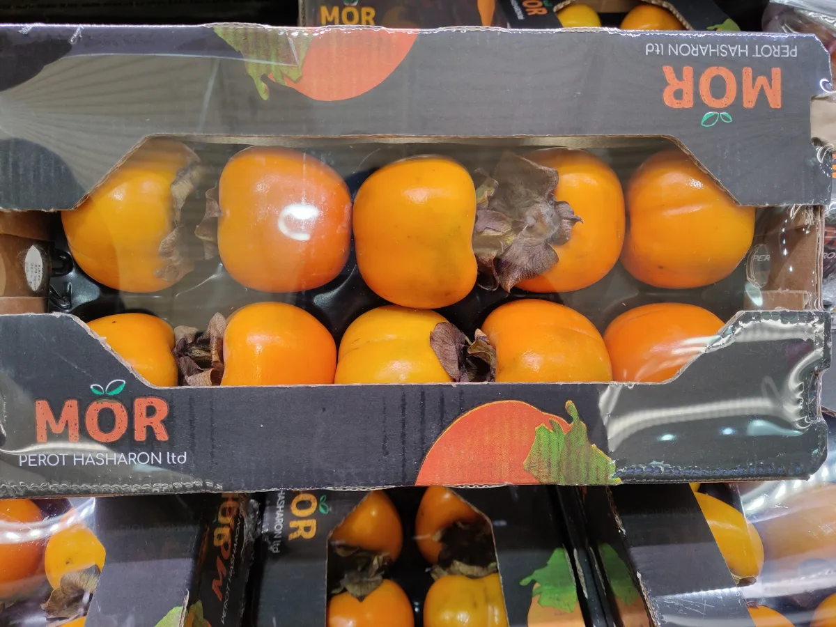 fuyu-persimmon