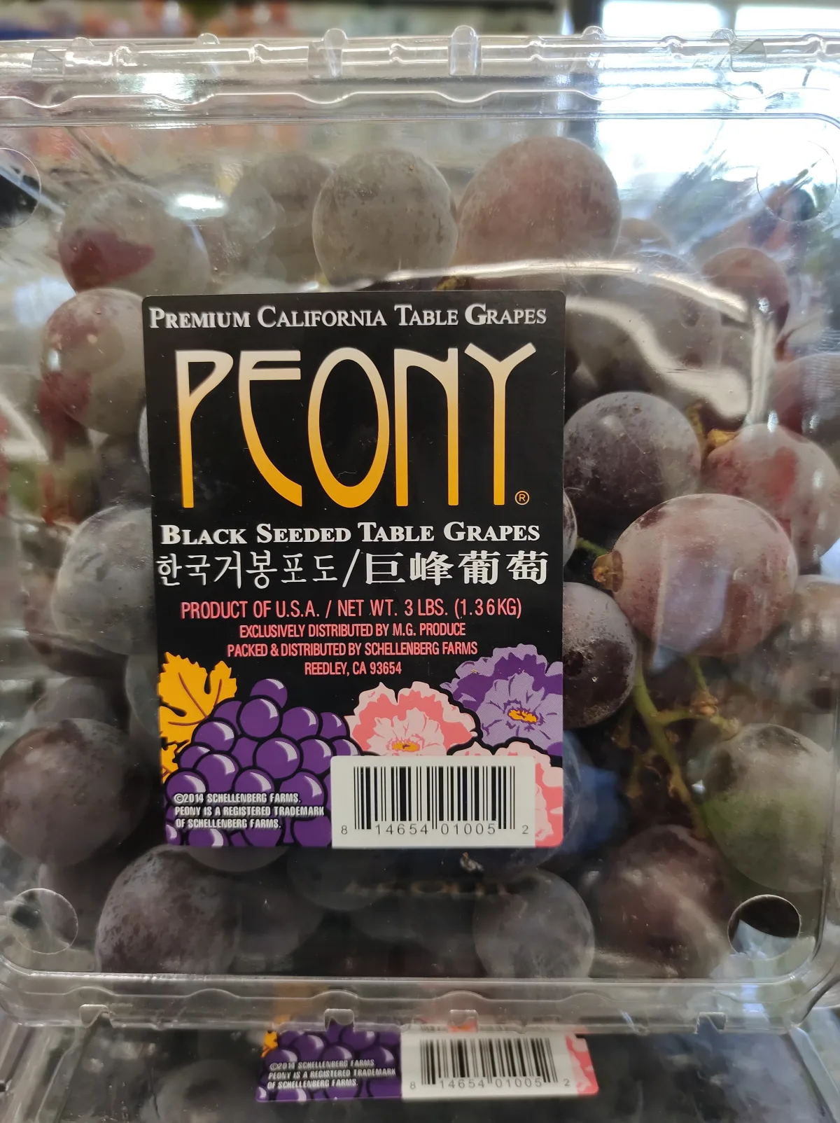 peony-black-seeded-table-grapes