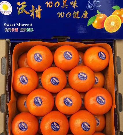 tangerine-case