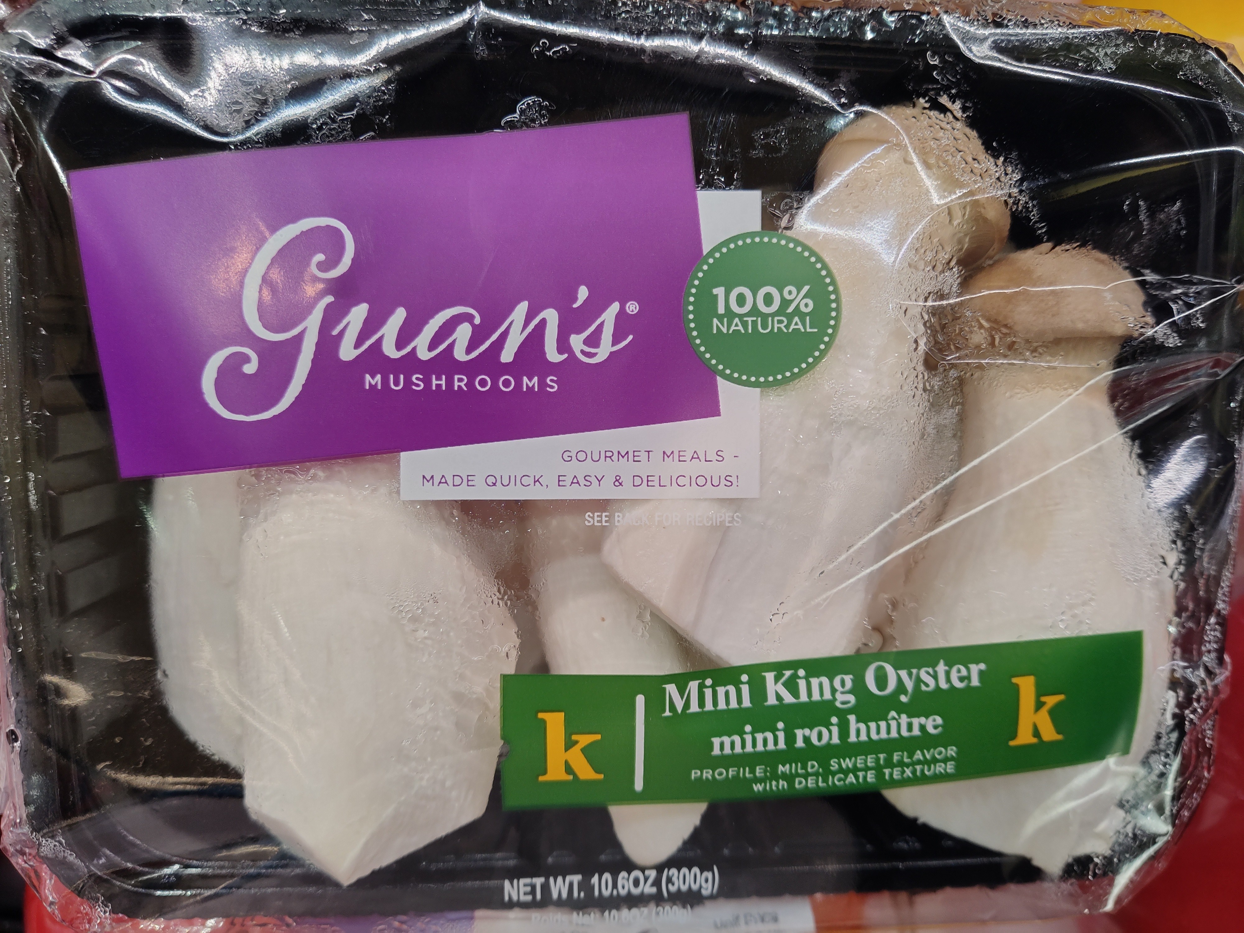 guans-mini-king-oyster-mushroom