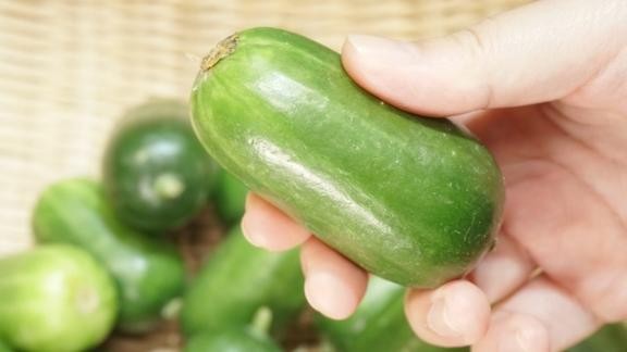 mini-cucumber-bag
