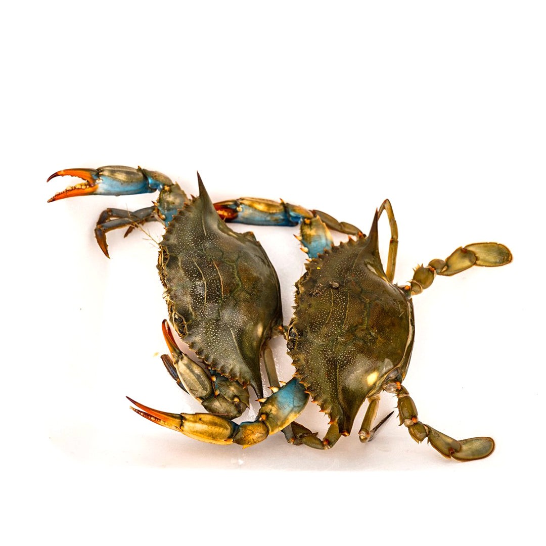 pre-order-blue-crabs-40lb