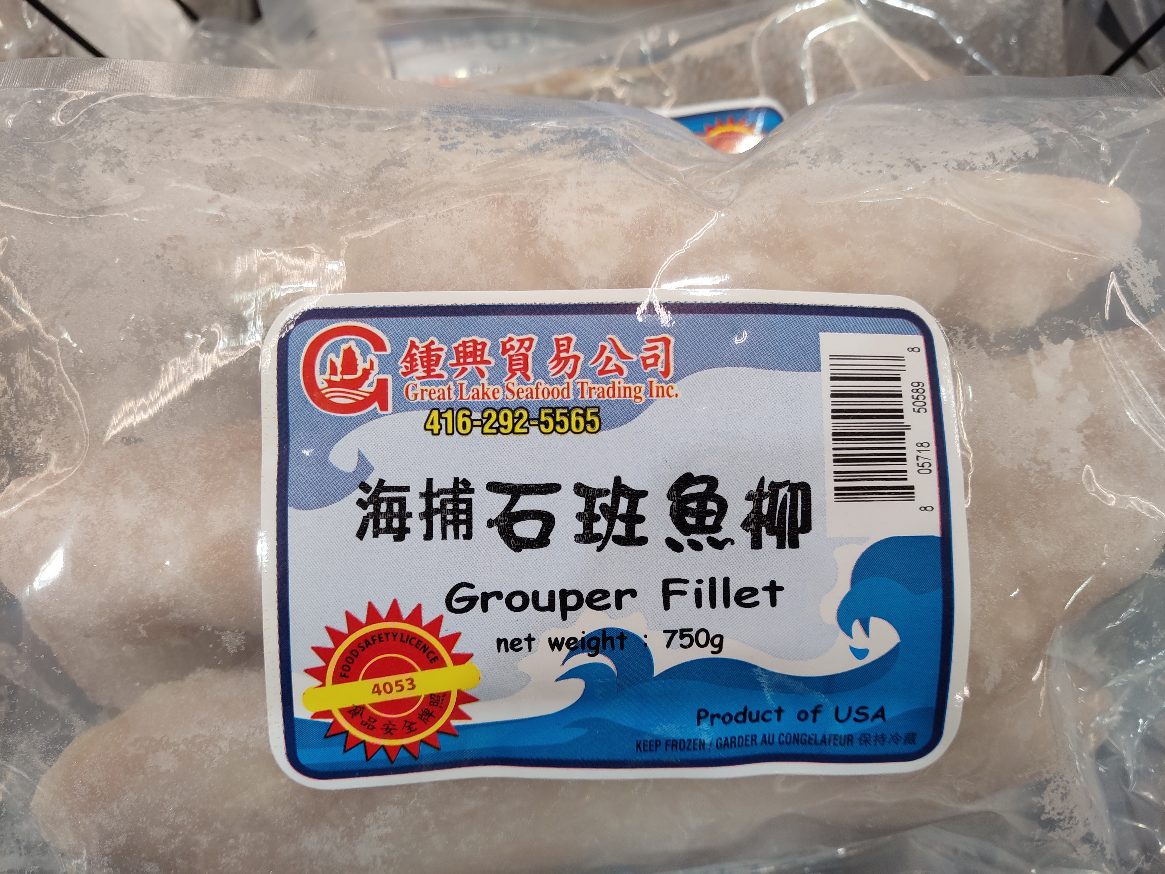 grouper-fillet