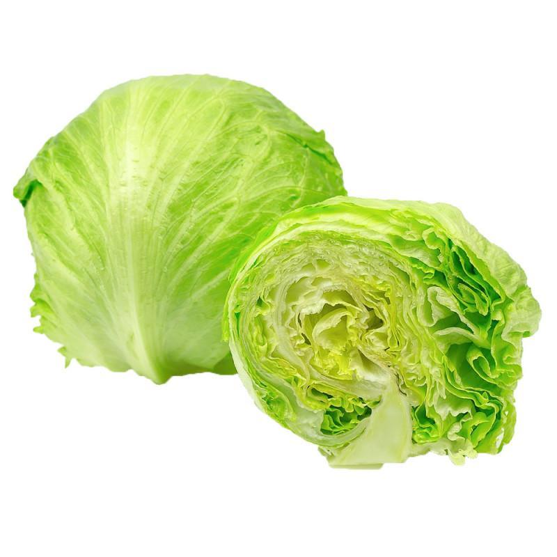 head-lettuce