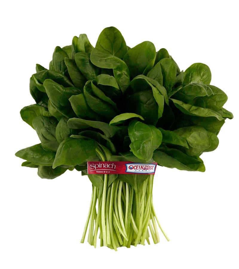 spinach-without-head-bunch