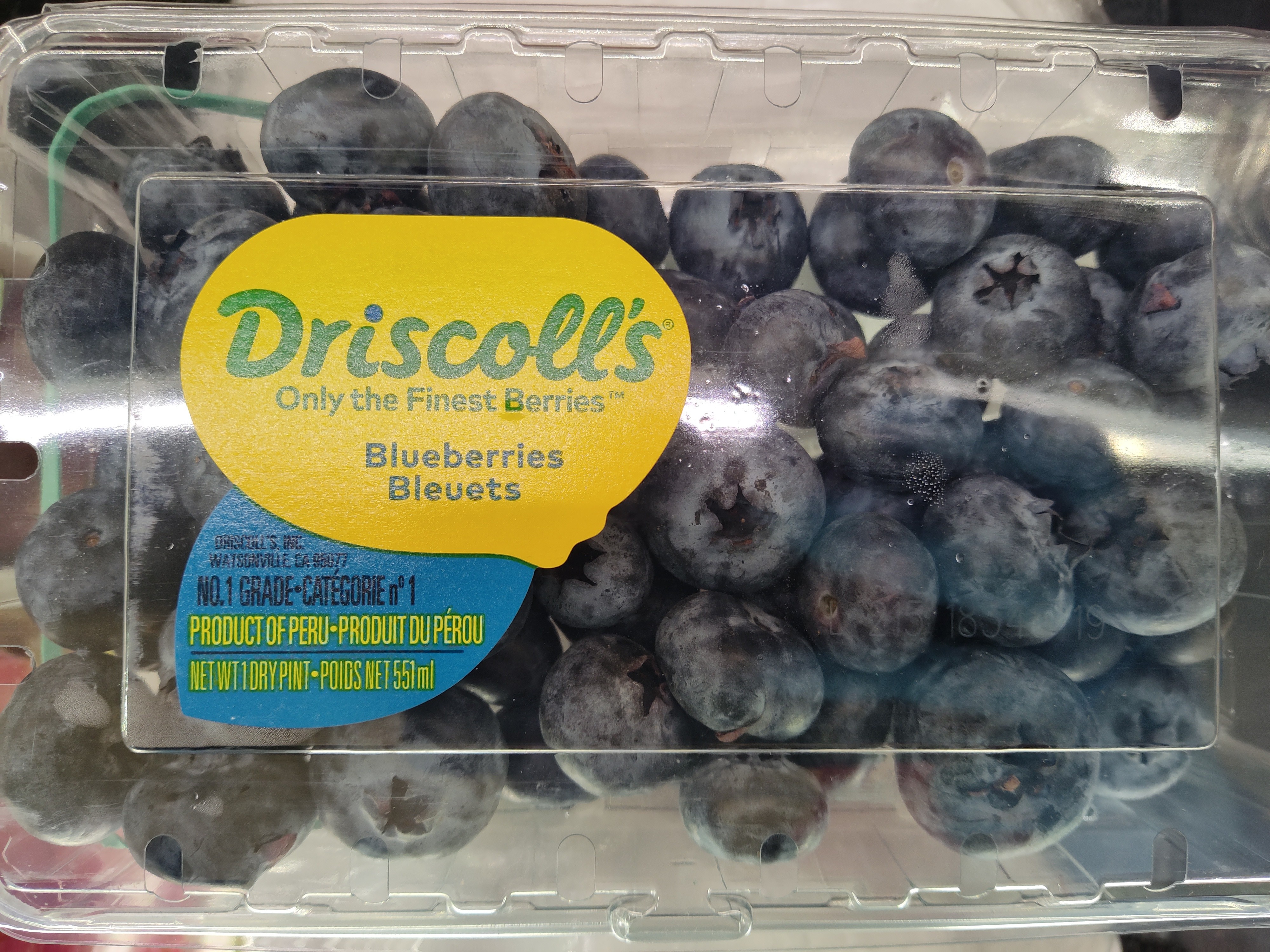 driscoll-s-blueberry